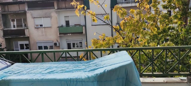 IZDAVANJE TOP STAN 50M2-KAJ DZUBOKS KAFULE