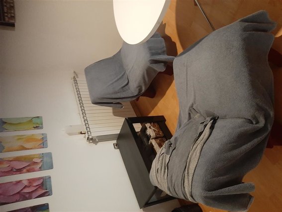 IZDAVANJE TOP STAN 45 M2 -GRADSKI PARK