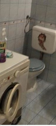 Se izdava stan 43m2 pozadi Zeleznicka Get Kafe