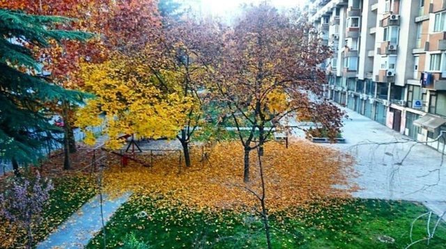 Se izdava stan 56m2 prvi kat pozadi Sobranie
330евра