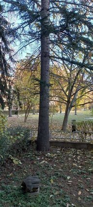 SE IZDAVA STAN SO DVOR 65 M2 -AERODROM