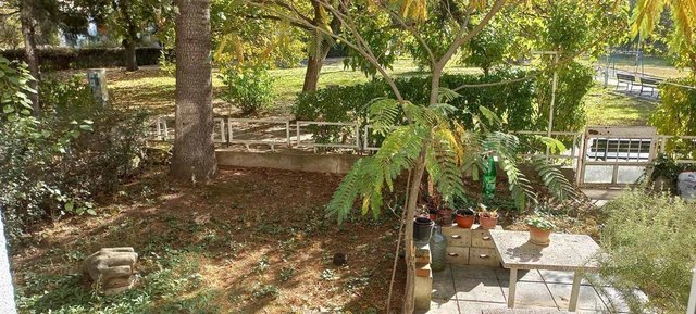 SE IZDAVA STAN SO DVOR 65 M2 -AERODROM