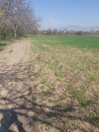 SE PRODAVA PLAC BARDOVCI 8800 M2-GRADEZEN REON