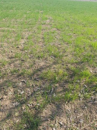 SE PRODAVA PLAC BARDOVCI 8800 M2-GRADEZEN REON