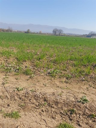 SE PRODAVA PLAC BARDOVCI 8800 M2-GRADEZEN REON