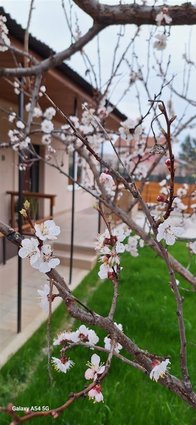 Се продава куќа 93м2 со двор, Драчево