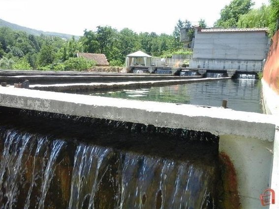 Se Prodava Ribnik VO Vrutok