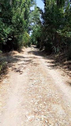 СЕ ПРОДАВА НИВА - ПЛАЦ ОД 1096 м2 ВО ДОЛНО ЛИСИЧЕ