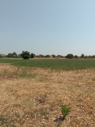 СЕ ПРОДАВА НИВА - ПЛАЦ ОД 1096 м2 ВО ДОЛНО ЛИСИЧЕ