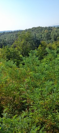 Se prodava vikendica vo Oresani, 68m2, plac 1016m