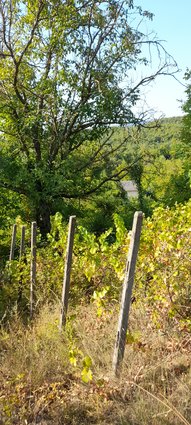 Se prodava vikendica vo Oresani, 68m2, plac 1016m