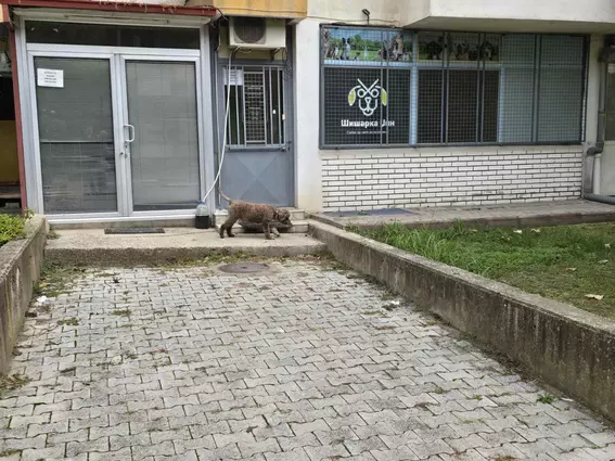 Се издава деловен простор во Аеродром