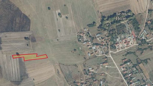 Se prodavaat nivi vo Belo Pole, Prilepsko