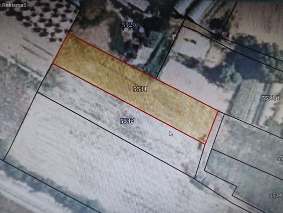 PLACEVI VO GORNO LISICE