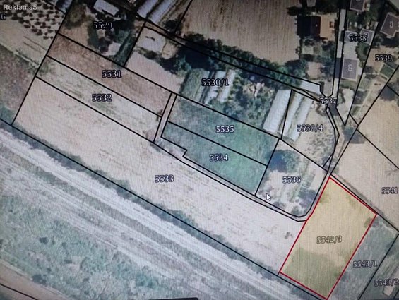 PLACEVI VO GORNO LISICE